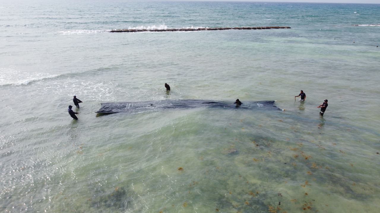 geotubos arrecife artificial aquantica proyectos marinos.jpg
